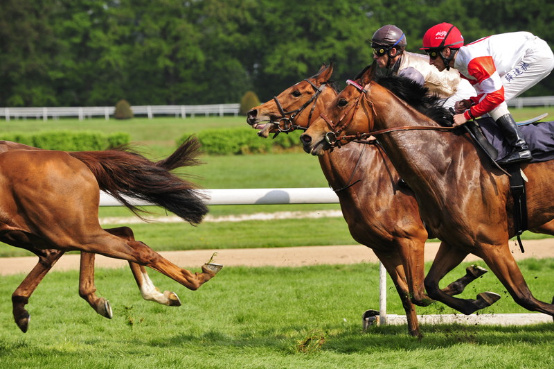 競馬　ブックメーカー